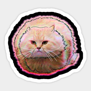 Flying Cat Meme Sticker